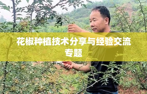 花椒种植技术分享与经验交流专题