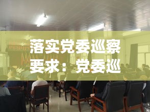 落实党委巡察要求：党委巡察的主要内容 