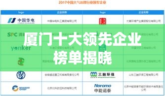 厦门十大领先企业榜单揭晓