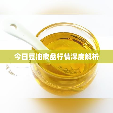 今日豆油夜盘行情深度解析