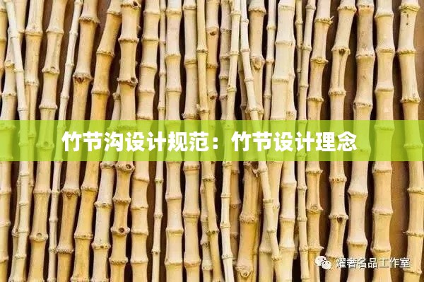 竹节沟设计规范：竹节设计理念 