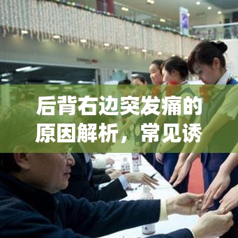 后背右边突发痛的原因解析，常见诱因与应对之道