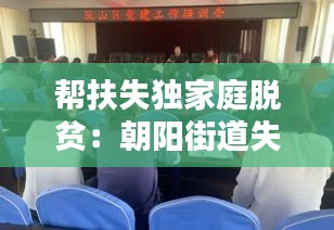 帮扶失独家庭脱贫：朝阳街道失独家庭帮扶项目方案设计 