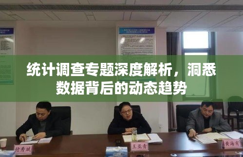 统计调查专题深度解析，洞悉数据背后的动态趋势