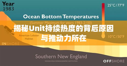 揭秘Unit持续热度的背后原因与推动力所在