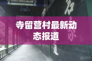 寺留营村最新动态报道