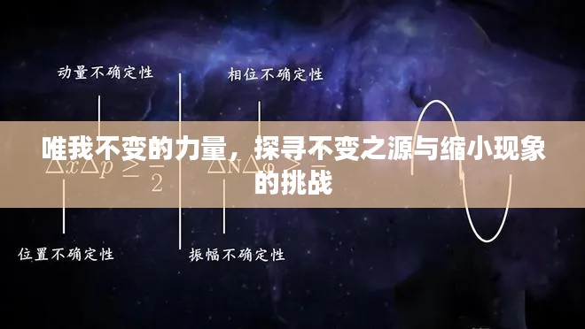 唯我不变的力量，探寻不变之源与缩小现象的挑战