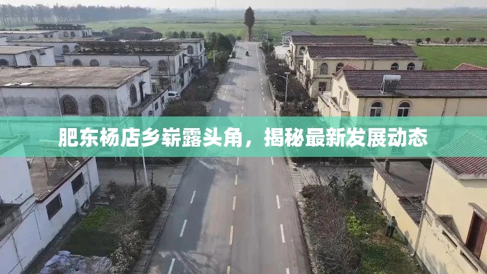 肥东杨店乡崭露头角，揭秘最新发展动态