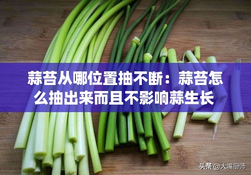 蒜苔从哪位置抽不断：蒜苔怎么抽出来而且不影响蒜生长 