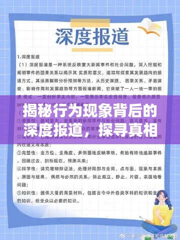 揭秘行为现象背后的深度报道，探寻真相，洞悉本质