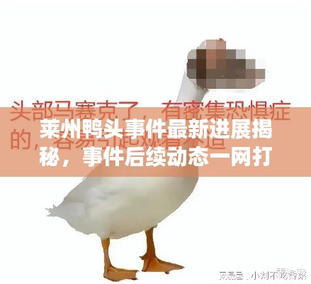 莱州鸭头事件最新进展揭秘，事件后续动态一网打尽！