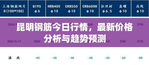 昆明钢筋今日行情，最新价格分析与趋势预测