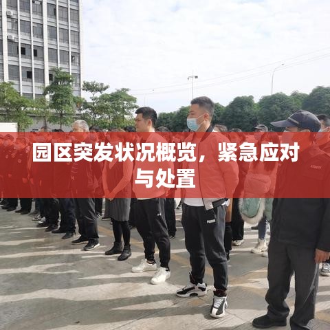 园区突发状况概览，紧急应对与处置