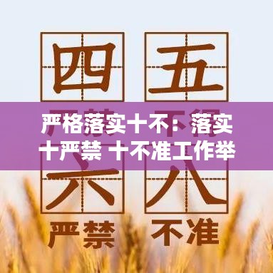 严格落实十不：落实十严禁 十不准工作举措 