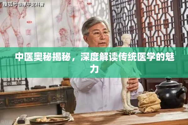 听见风就是雨 第2页
