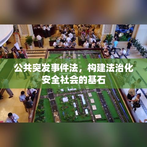 公共突发事件法，构建法治化安全社会的基石