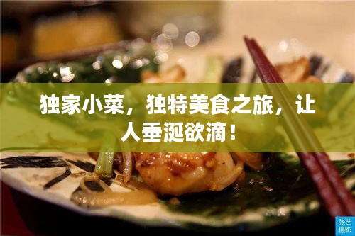 独家小菜，独特美食之旅，让人垂涎欲滴！
