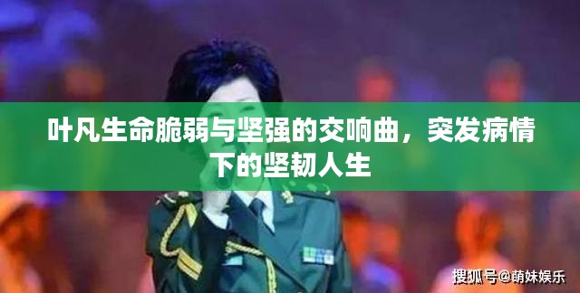 纡尊降贵 第2页