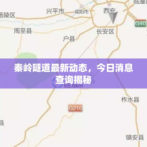 秦岭隧道最新动态，今日消息查询揭秘