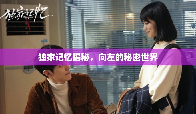 独家记忆揭秘，向左的秘密世界