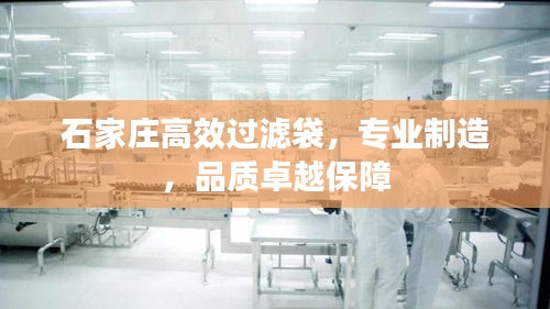 石家庄高效过滤袋，专业制造，品质卓越保障