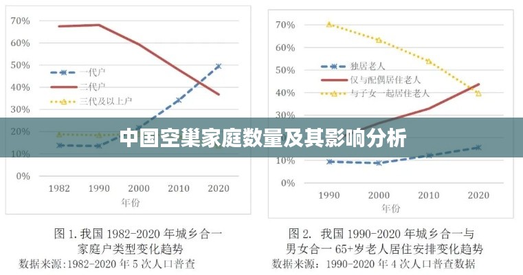 中国空巢家庭数量及其影响分析