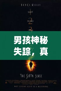 男孩神秘失踪，真相探寻与呼唤归家
