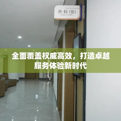 全面覆盖权威高效，打造卓越服务体验新时代