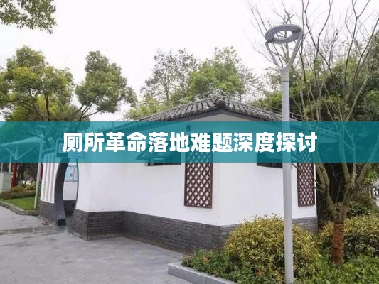 厕所革命落地难题深度探讨