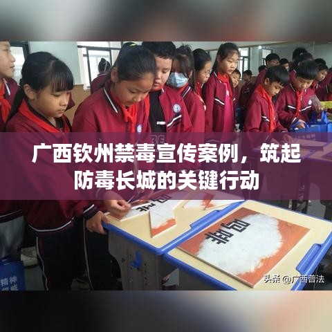 广西钦州禁毒宣传案例，筑起防毒长城的关键行动