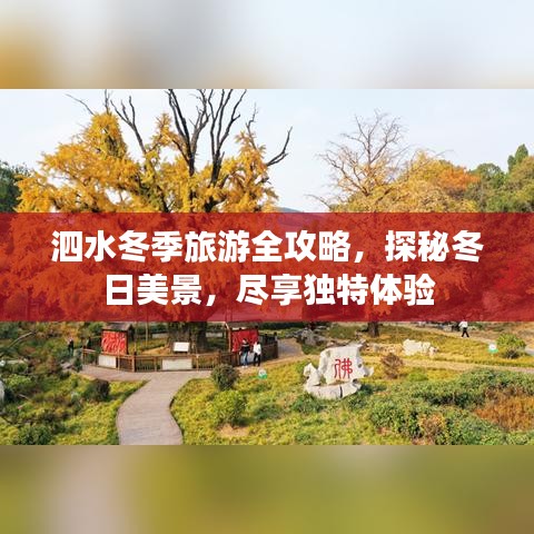 泗水冬季旅游全攻略，探秘冬日美景，尽享独特体验