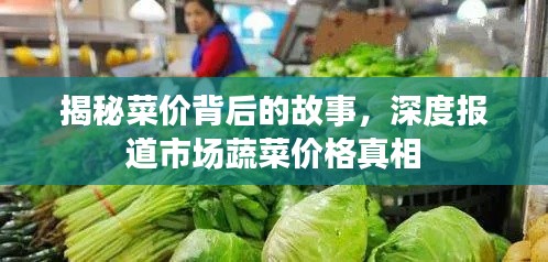 揭秘菜价背后的故事，深度报道市场蔬菜价格真相