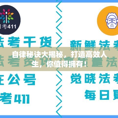 自律秘诀大揭秘，打造高效人生，你值得拥有！