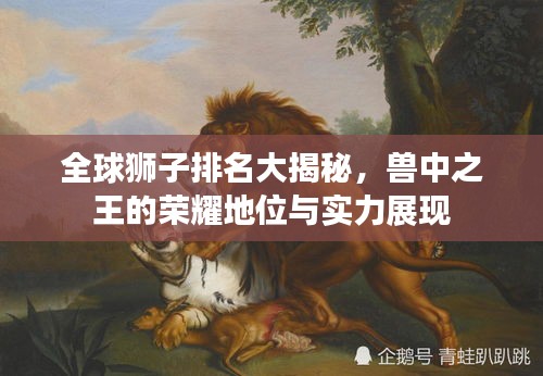 踊贵屦贱 第2页