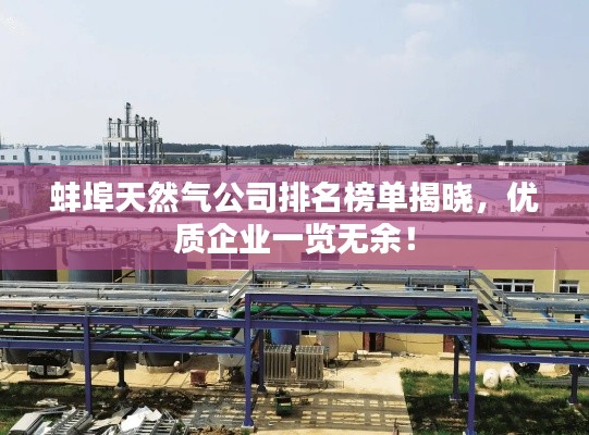 蚌埠天然气公司排名榜单揭晓，优质企业一览无余！