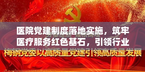 医院党建制度落地实施，筑牢医疗服务红色基石，引领行业高质量发展