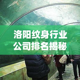 洛阳纹身行业公司排名揭秘，市场概述与深度分析