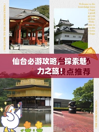 仙台必游攻略，探索魅力之旅！