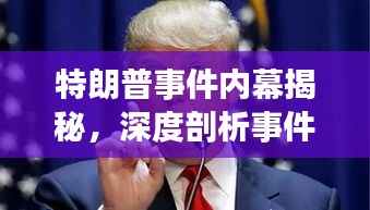 特朗普事件内幕揭秘，深度剖析事件全貌