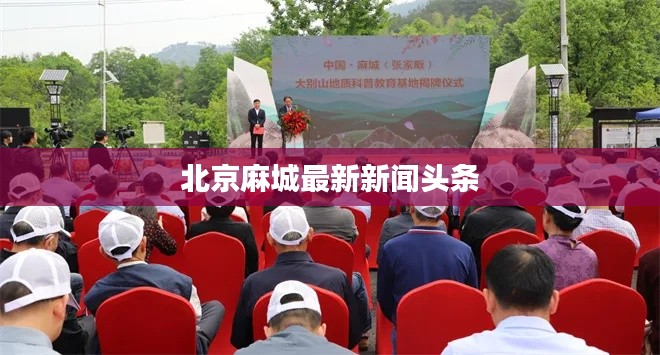 北京麻城最新新闻头条