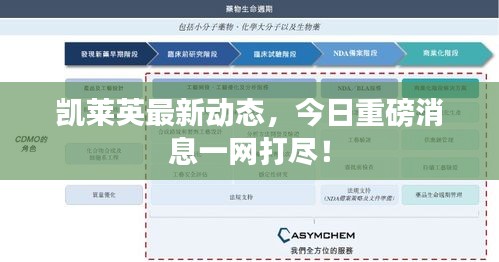 凯莱英最新动态，今日重磅消息一网打尽！