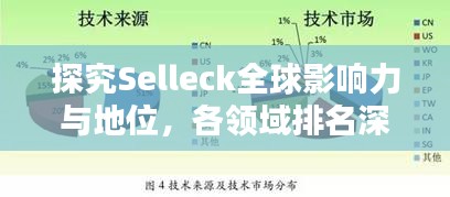 探究Selleck全球影响力与地位，各领域排名深度解析