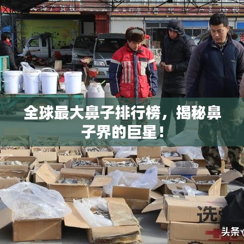 全球最大鼻子排行榜，揭秘鼻子界的巨星！