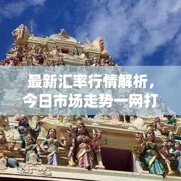 最新汇率行情解析，今日市场走势一网打尽！