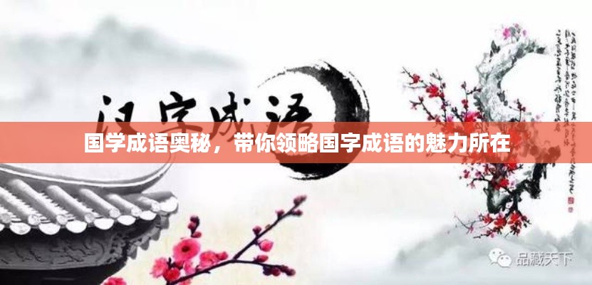 国学成语奥秘，带你领略国字成语的魅力所在