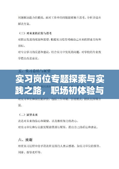 实习岗位专题探索与实践之路，职场初体验与成长之旅
