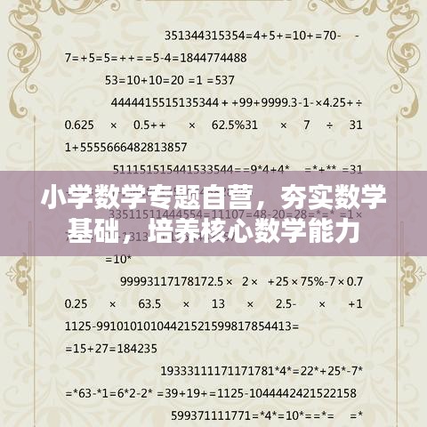 小学数学专题自营，夯实数学基础，培养核心数学能力