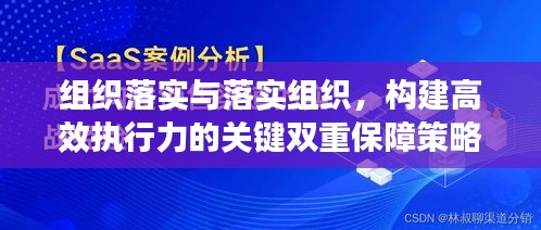 组织落实与落实组织，构建高效执行力的关键双重保障策略