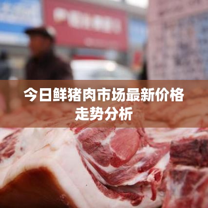 今日鲜猪肉市场最新价格走势分析