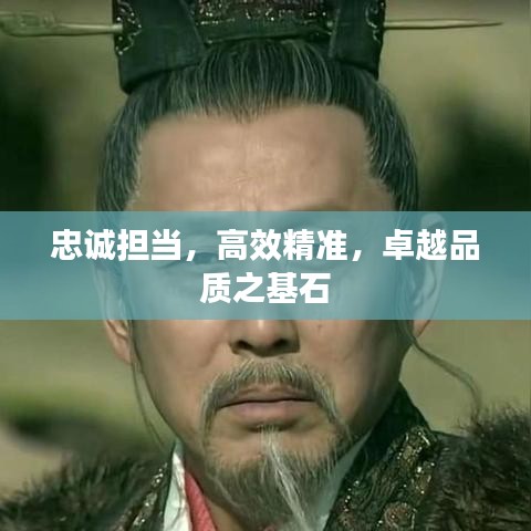 忠诚担当，高效精准，卓越品质之基石